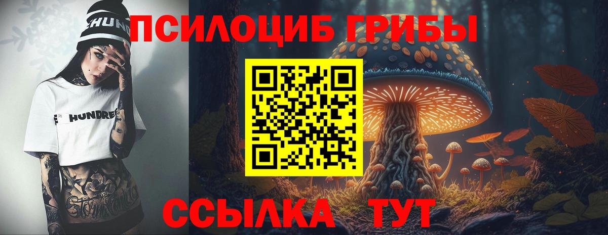 Галлюциногенные грибы Cubensis  Вход с VPN  Михайловск  Псилоцибиновые грибы Psilocybe 