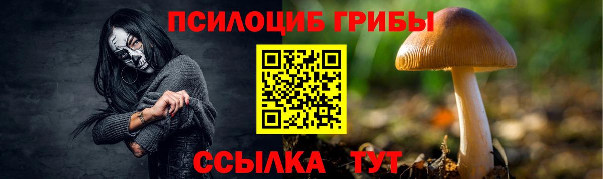 Псилоцибиновые грибы мицелий Михайловск