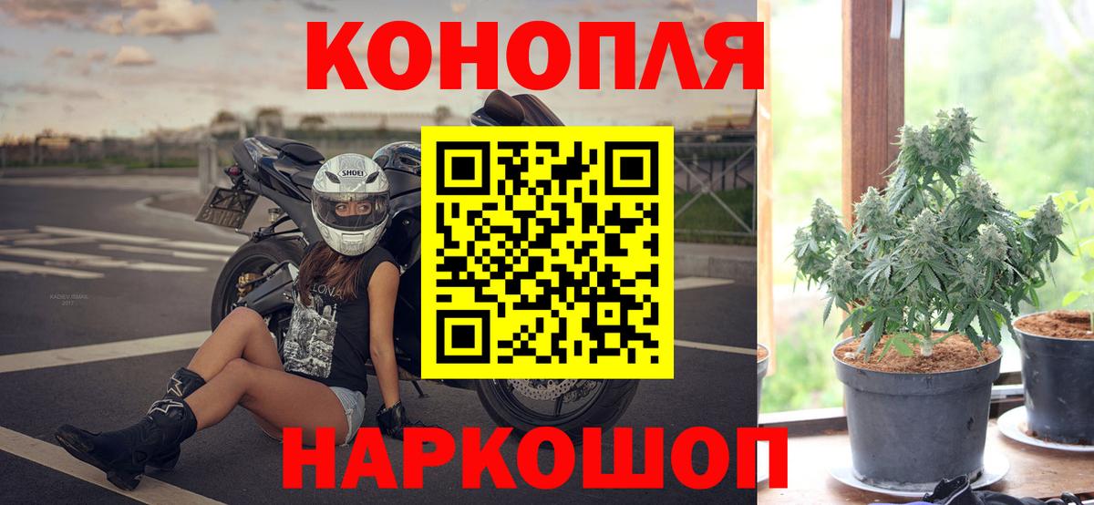 Бошки Шишки конопля  МАРИХУАНА ГИДРОПОН  Михайловск  Канабис SATIVA & INDICA  Вход с VPN 